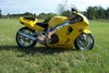 99 CBR 900 RR - Click To Enlarge Picture