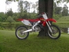 2003 CR 125 - Click To Enlarge Picture