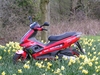 2003 Gilera Runner - Click To Enlarge Picture