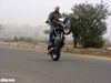 Bajaj Pulsar Wheelie - Click To Enlarge Picture