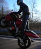 Cbr 600 Wheelie - Click To Enlarge Picture