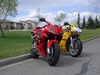 600RR / Ducati748 - Click To Enlarge Picture