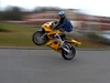 Frog Wheelie - Click To Download Video