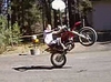 CRF230 @ Tahoe - Click To Download Video