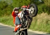 Stunt Day - Click To Download Video
