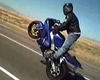 Freeway Wheelie - Click To Download Video