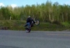 Z1000 Wheelie - Click To Download Video