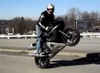 WVU Wheelie - Click To Download Video