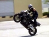 Gzertribe Bikers - Click To Download Video