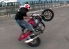 Manstunt Crew Riders - Click To Download Video