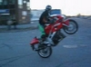 Wheelies - Click To Download Video