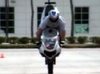 Nice Stoppie - Click To Download Video
