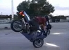 Wheelie Chris - Click To Download Video