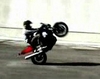 Stunt Dayz - Click To Download Video