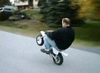 Z50 Wheelies - Click To Download Video