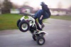 wheelie - Click To Enlarge Picture