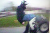 wheelie - Click To Enlarge Picture