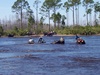 swampin - Click To Enlarge Picture