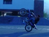 WHELIE - Click To Enlarge Picture