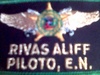 Pilot Wing - Click To Enlarge Picture