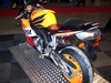 Honda Repsol Rear - Click To Enlarge Picture